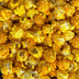 Large Gourmet Jai Alai Cheddar Ale Popcorn Bag